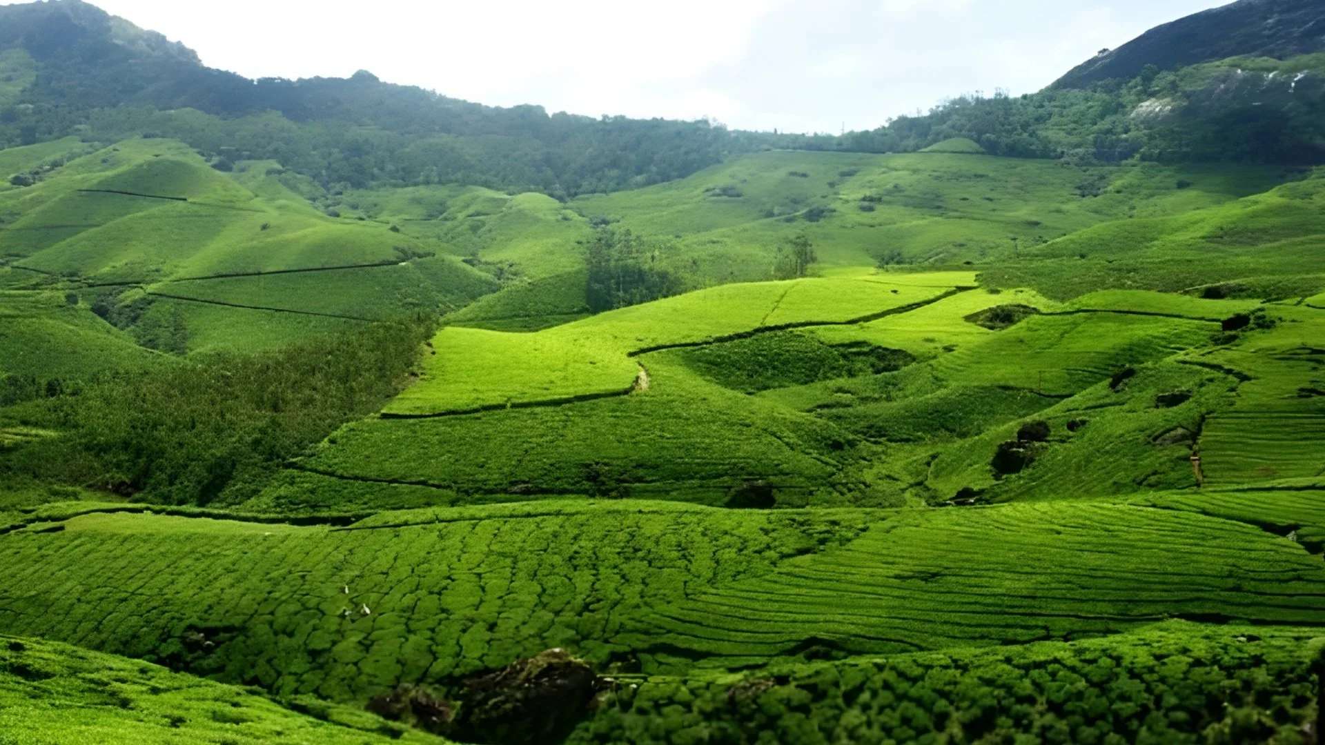 Munnar